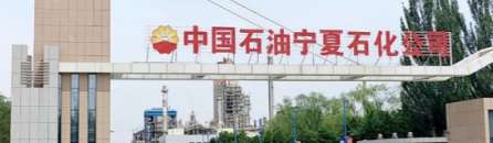 suolue-685.jpg